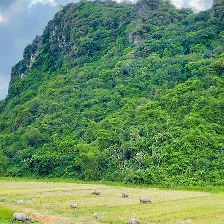 Hieu-Homestay Phong Nha Exterior photo